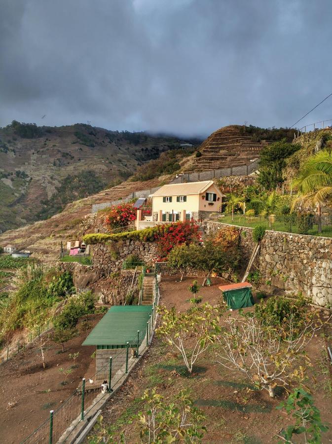 Farm stay Quinta Terezinha Ribeira Brava