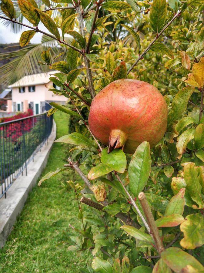 Quinta Terezinha Alojamento de Turismo Rural *